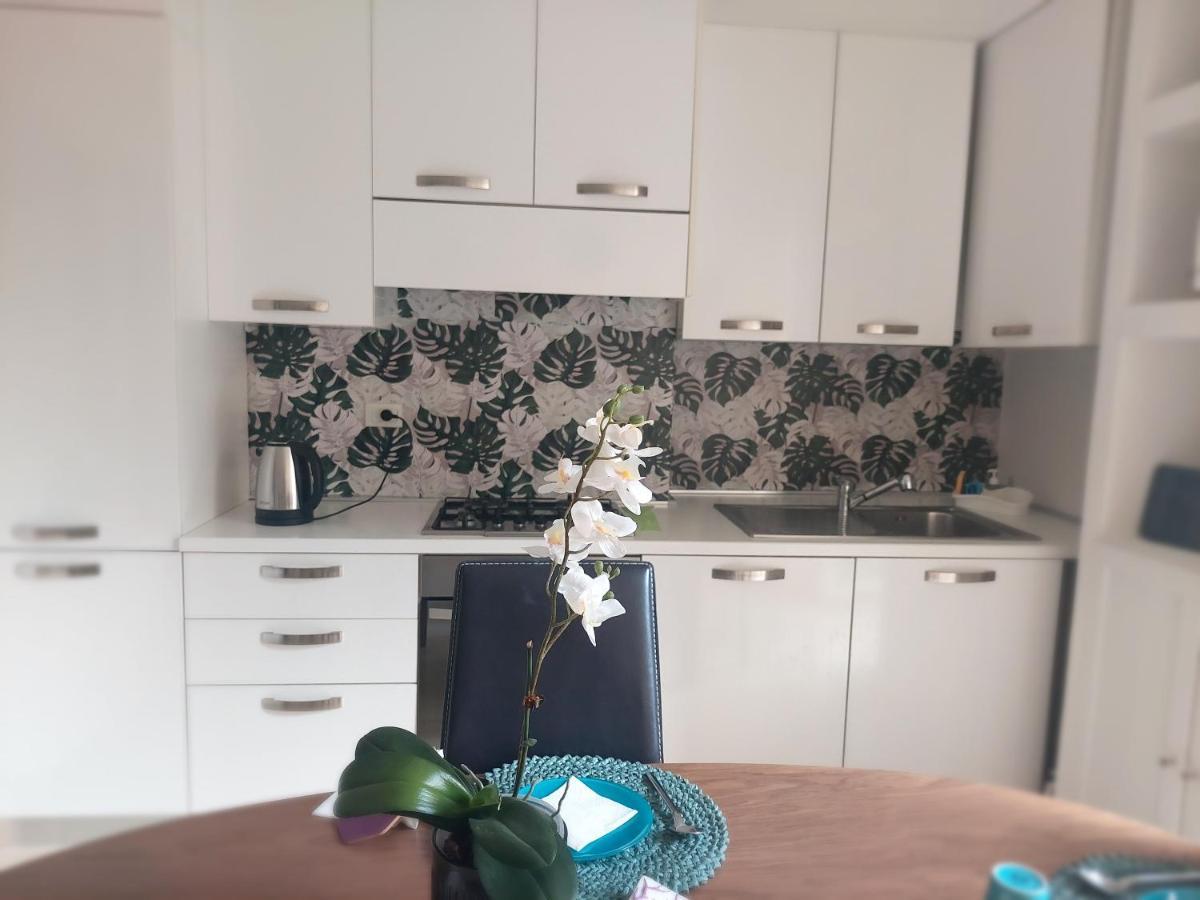 Civico 37 Casa Vacanze Porta Romana ミラノ エクステリア 写真